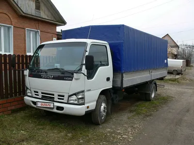 Купить Isuzu Elf Бортовой грузовик 1996 года в Кавалерово: цена 550 000  руб., дизель, механика - Грузовики