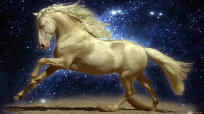 Изабелловая ахалтекинская лошадь» — создано в Шедевруме