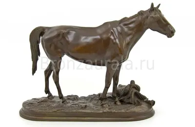 Çerkes Kabardey atı Circassian Kabardian horse Кабардинская порода лошадей,.,.,  | Лошади