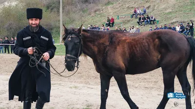 Художники Адыгеи представили работы о кабардинской породе лошадей бечкан