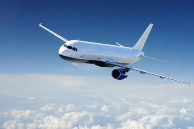 Пассажирский самолет в небе (39 фото) - фото - картинки и рисунки: скачать  бесплатно