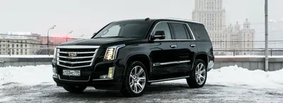 Купить Cadillac 2023-2024 в салоне официального дилера Кадиллак АВИЛОН в  Москве