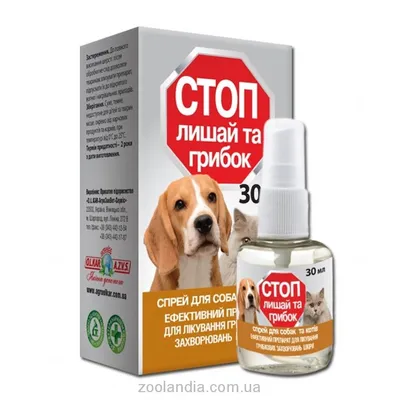BB.lv: Устойчивый к лекарствам грибок обнаружен у бродячих собак
