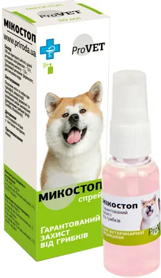 Купить влажный корм для собак Animonda Vom Feinsten Kleiner Racker, сердце,  грибы, 16шт по 85г, цены в Москве на Мегамаркет | Артикул: 100026950652