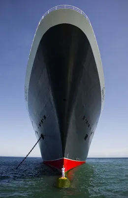 Капитан корабля в белой форме показывает курс Стоковое Изображение -  изображение насчитывающей одно, гироскоп: 186455041