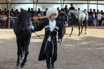 Лошади карачаевской породы: перекличка | Prokoni.ru