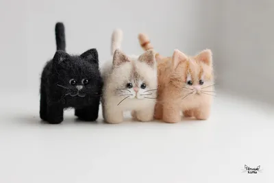 Маленькие котята в картонной коробке коты 3 Иллюстрация вектора -  иллюстрации насчитывающей кошачий, иллюстрация: 84082095