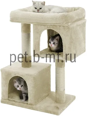 Маленькие милые котята на ковре :: Стоковая фотография :: Pixel-Shot Studio