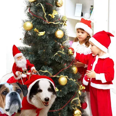 Смешная одежда для собак на Хэллоуин с париком и ножом, косплей-костюм для  маленьких и больших собак, одежда для рождественского фестиваля и вечеринки  | AliExpress