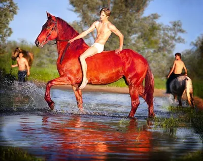 Купание красного коня» и проблемы с размерами