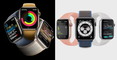 Watch SE USA Умные часы Apple Watch SE, 44 мм, корпус из алюминия  серебристого цвета спортивный ремешок цвета «синий омут» - купить в  магазине Технолав