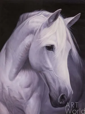 Картина Картина маслом \"Портрет белой лошади\" 75x100 SK200501 купить в  Москве