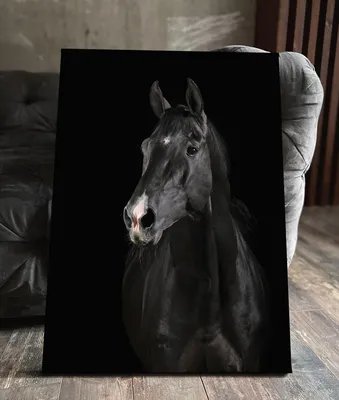 Картина Картина маслом \"Белая лошадь\" 90x120 SK181201 купить в Москве
