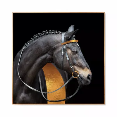 Картина лошадь с жеребенком - 77 фото