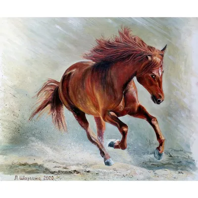 Molly\" HR0230 Картина по номерам 50 х 40 см \"Лошадь. Акварелью\" купить за  1424,00 ₽ в интернет-магазине Леонардо