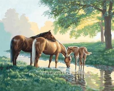 Картина на холсте \"Лошади\" (id 109012111), купить в Казахстане, цена на  Satu.kz