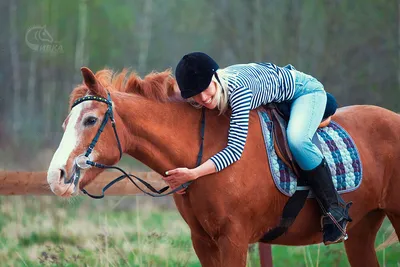Катание на лошадях в Москве - Конный клуб «Сивка»