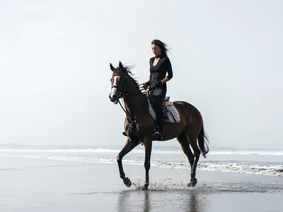 Катание на лошадях на Пхукете. Цена 1199 бат – Online-Phuket.ru
