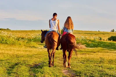 Катание на лошадях в Карпатах | Отдых в лесу и катание на конях
