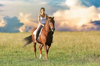 Катание на лошадях, Чайный домик | Официальный сайт турфирмы «Кавказ» в  городе Ессентуки