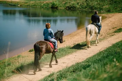 Катание на лошадях на Трухановом острове - купить подарочный сертификат в  Киеве | DONUM