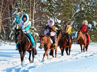 Покататься на лошадях в Санкт-Петербурге, цены на конные прогулки