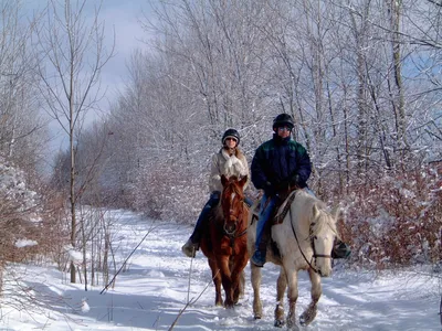 Верховая езда | Прогулки и катание на лошадях в конной школе | Обучение  верховой езде | Загородный клуб «Белая лошадь»