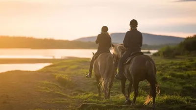 Конные прогулки и катание на лошадях | КулЛиб электронная библиотека