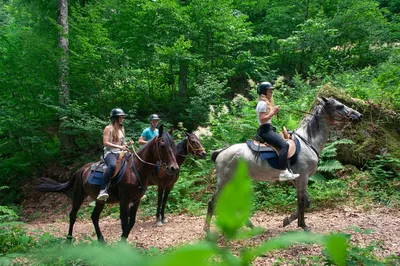 Катание на лошадях в СПб, конные прогулки по лугам, в лес, мимо озера.  Покататься на лошадях вы можете вдвоём, заказав конную прогулку на двоих в  Санкт-Петербурге