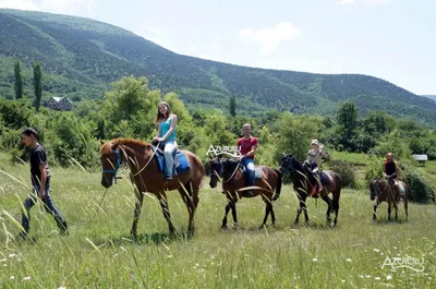 Катание на лошадях Jūras zirgi - Visit Saulkrasti