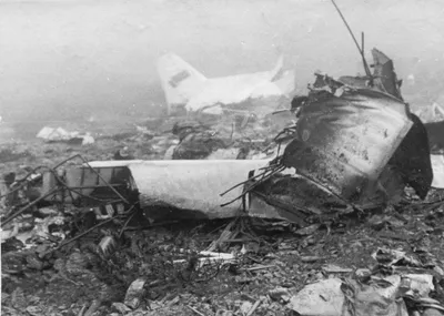 Катастрофа Airbus A310, Иркутск | День в истории на портале ВДПО.РФ