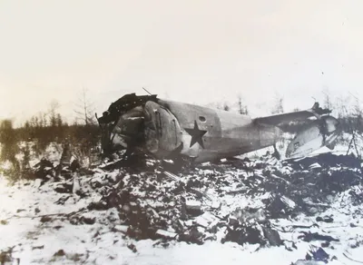 Под Междуреченском 23 марта 1994 года упал самолет А310: что произошло на  рейсе Москва — Пекин - 23 марта 2021 - 74.ru