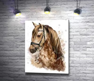 Масти лошадей | ВКонтакте