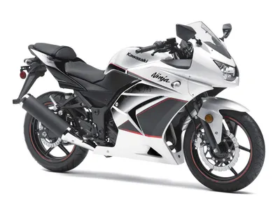 Rent Kawasaki Ninja 250 ABS 2021 from US$ 31/day in Mengwi Indonesia |  5031644 | GetRentacar.com