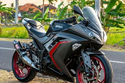 2021 Kawasaki Ninja 250 KRT Edition Minifies Those WSBK Graphics