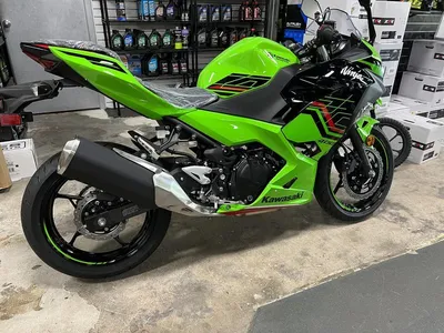 Kawasaki Ninja 300 (2012-2017) Review and used buying guide | MCN