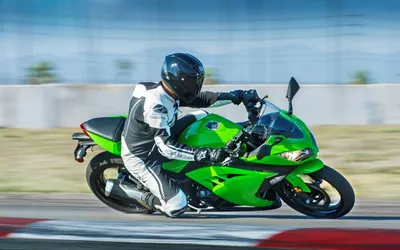 Kawasaki's 39 horsepower Ninja 300 bonsai superbike