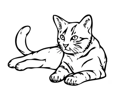 камышовый кот :: котэ - JoyReactor