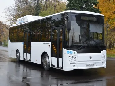 Автобусы: Масштабная модель 1:43 Мелкосерийный автобус КАвЗ-3275 (ModelPro)
