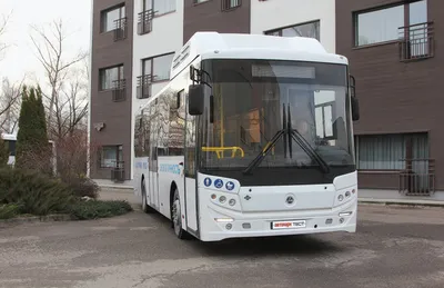 Автобус КАВЗ 4238-82 \"Аврора\" газовый CNG Евро-5 - купить в Москве, цены в  каталоге «Русбизнесавто»