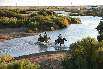 Кочевники Казахстана: Как перегоняют лошадей на жайлау | The-steppe.com