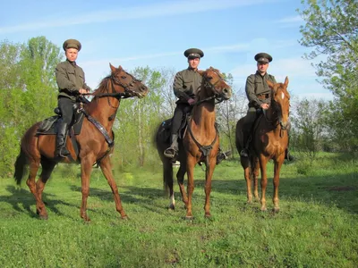 Путь воина: как казахи воспитывали мальчиков - Новости | Караван