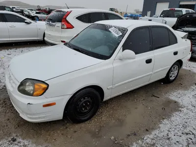 2004 Hyundai Accent in Dearborn, MO | Item IA9245 sold | Purple Wave