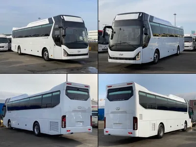 Купить Hyundai Universe Междугородный автобус 2021 года в Хабаровске: цена  20 000 000 руб., дизель, механика - Автобусы