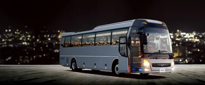 Hyundai Universe 45-Seater - Detailed Review, Pricing, and Advantages