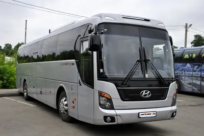 Аренда и заказ автобуса Hyundai Universe Space Luxury на 43 места в  Санкт-Петербурге (СПб)