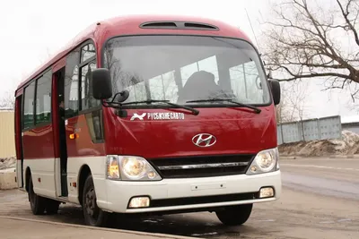 Продажа подержанного автобуса Hyundai County (Хендай Каунти) 2012 г.в. с  фото, цена руб. 1,280,000, г. Ростов-на-Дону
