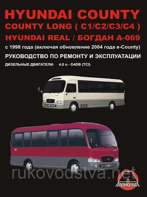 Hyundai County Short 18+1 (Хендай Каунти 18 мест ТАГАЗ)