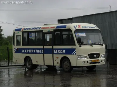 Ростовская область, Hyundai County Kuzbass № В 906 ОК 161 — Фото —  Автобусный транспорт