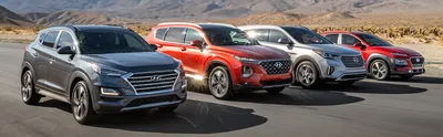Hyundai SUV Size Comparison: Find Your Fit At Family Hyundai | Family  Hyundai